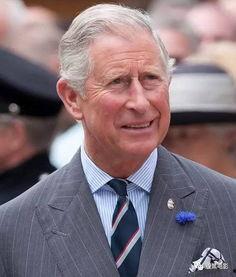 查尔斯最新爆料视频,惊人内幕曝光